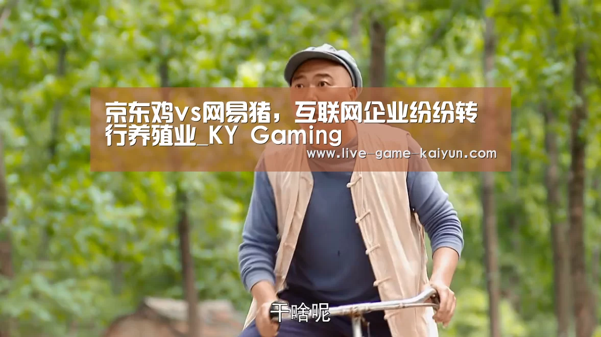 京东鸡vs网易猪,互联网企业纷纷转行养殖业_KY Gaming(图1) 开云体育网站