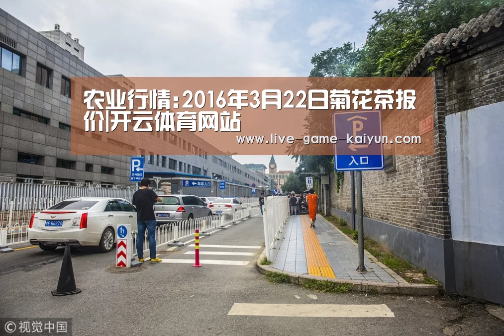 农业行情:2016年3月22日菊花茶报价|开云体育网站(图1) 开元棋牌网址