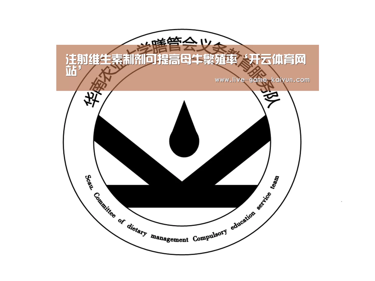开云体育官网