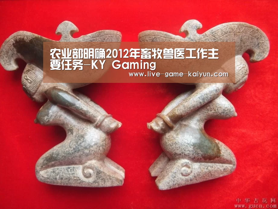 农业部明确2012年畜牧兽医工作主要任务-KY Gaming