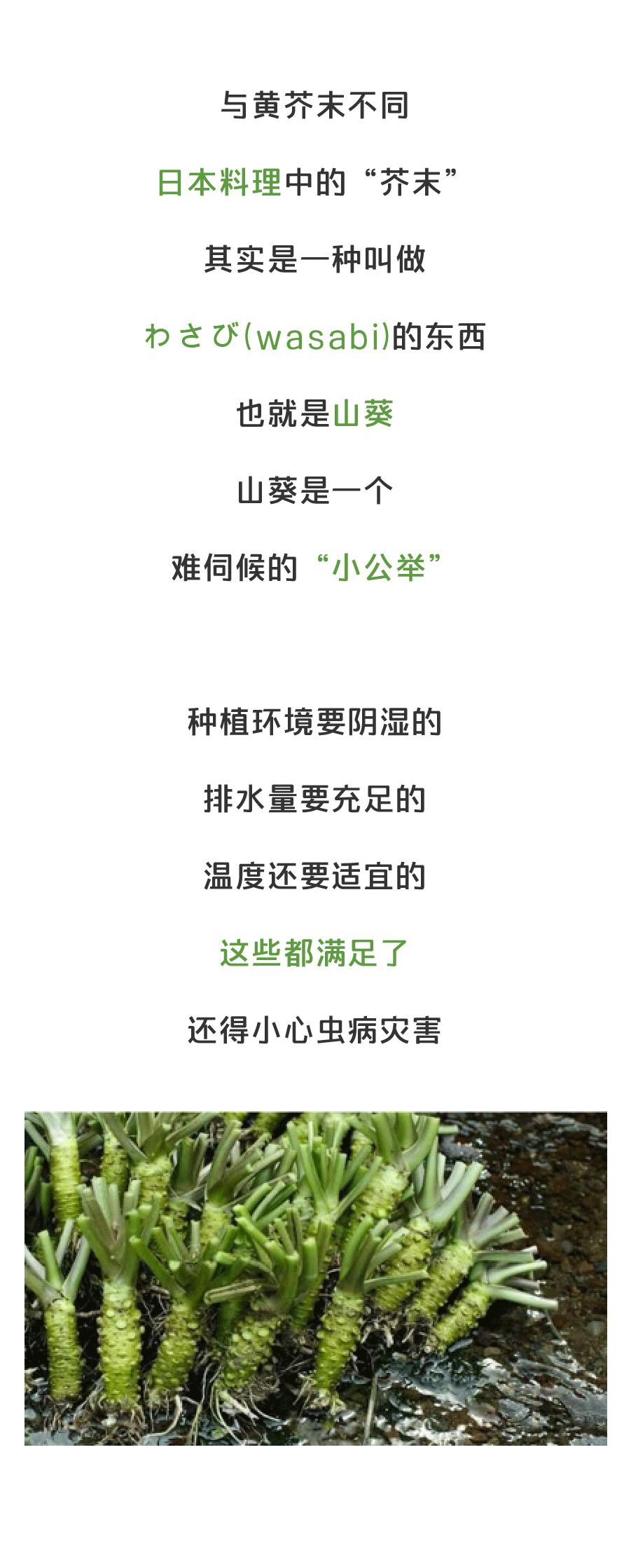 KY Gaming:PhoCusWright新研究(图1) KY Gaming